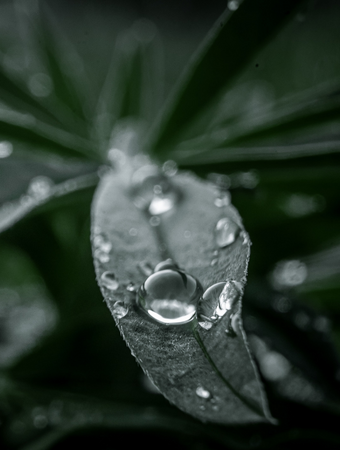 Strategy & Solutions CE Marketing Consulting - Strategy & Solutions website image